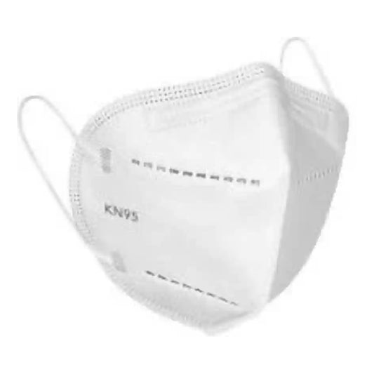 N95 MASKS 10s